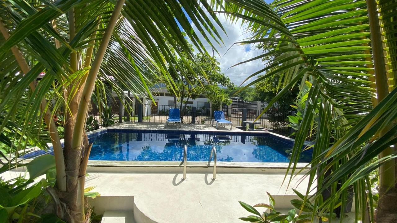 Rooms & Pool Macaws Uvita Εξωτερικό φωτογραφία
