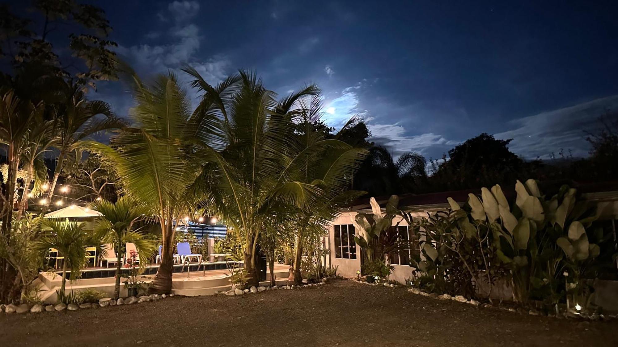 Rooms & Pool Macaws Uvita Εξωτερικό φωτογραφία