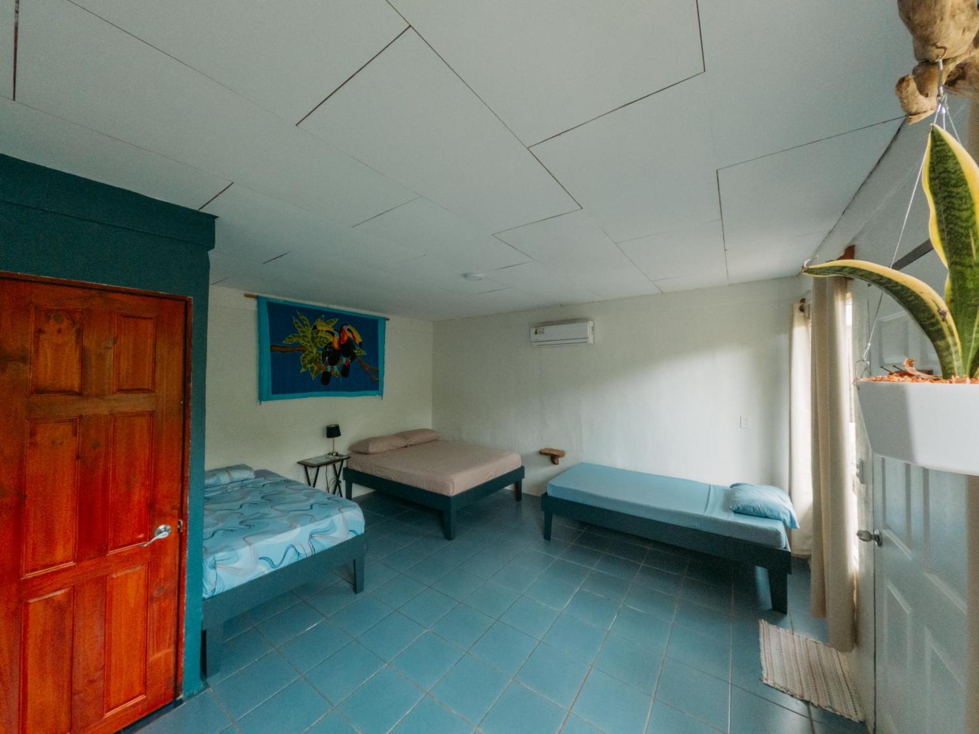 Rooms & Pool Macaws Uvita Εξωτερικό φωτογραφία