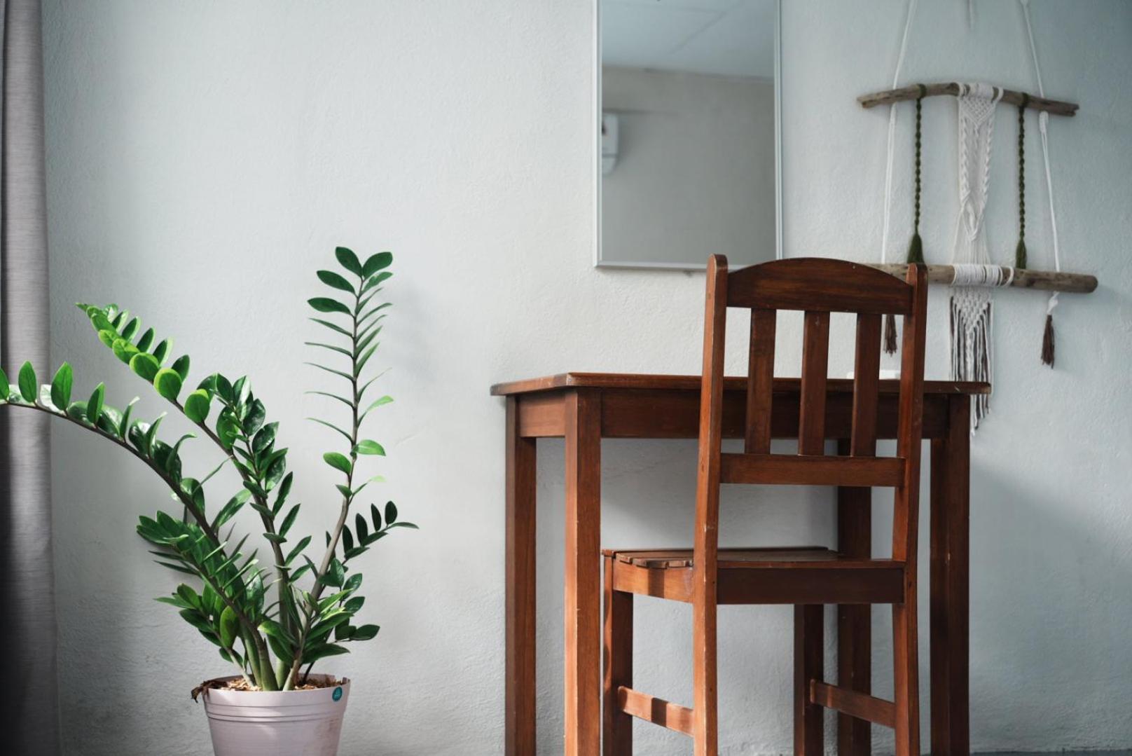 Rooms & Pool Macaws Uvita Εξωτερικό φωτογραφία