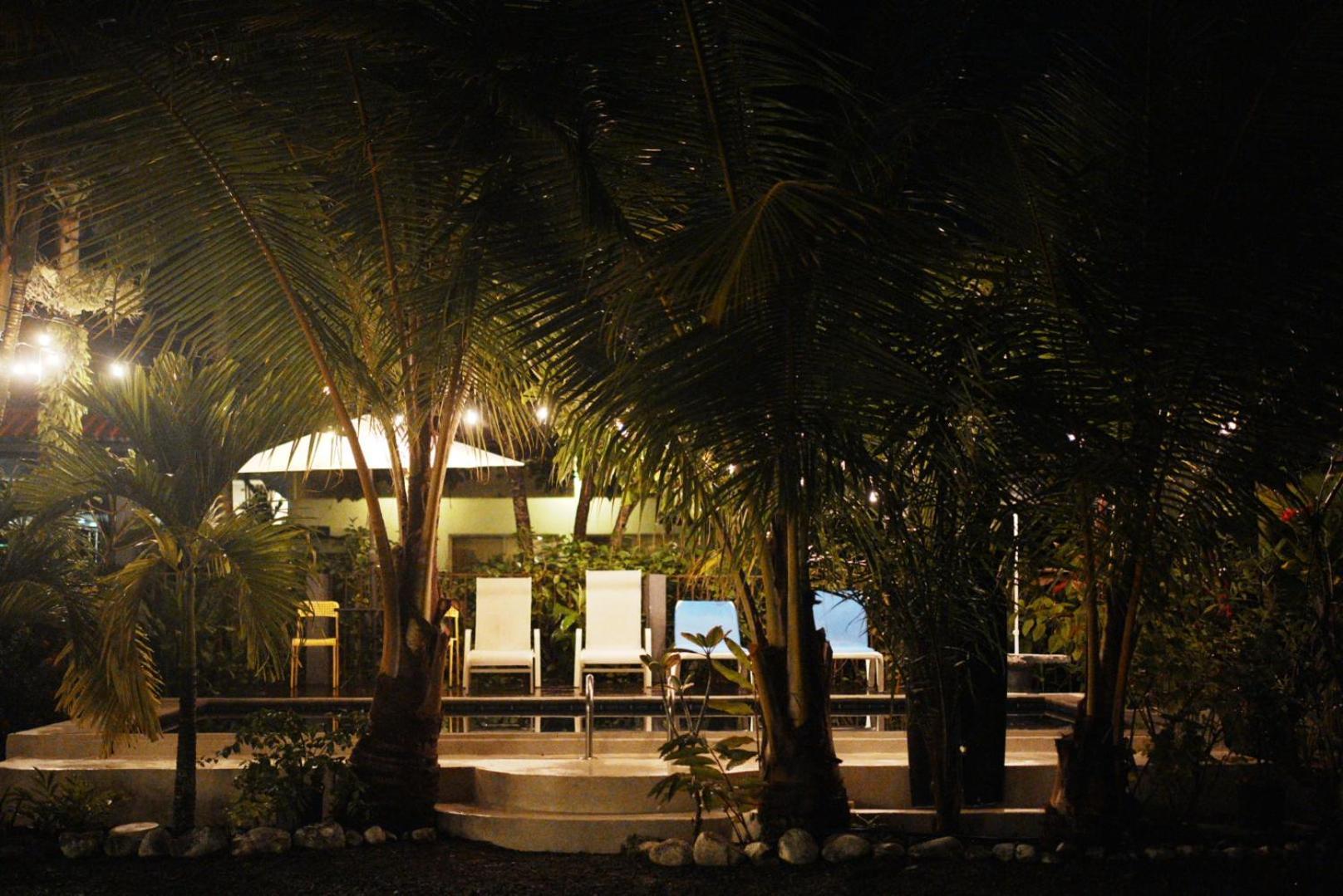 Rooms & Pool Macaws Uvita Εξωτερικό φωτογραφία