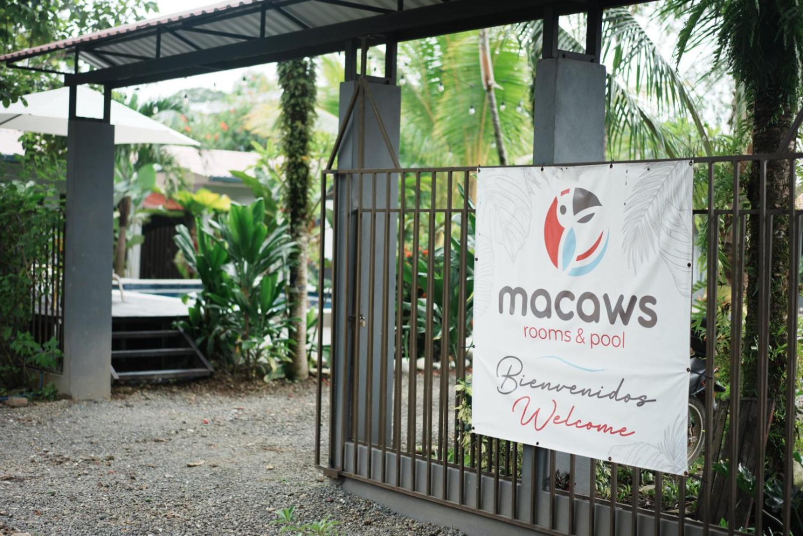 Rooms & Pool Macaws Uvita Εξωτερικό φωτογραφία