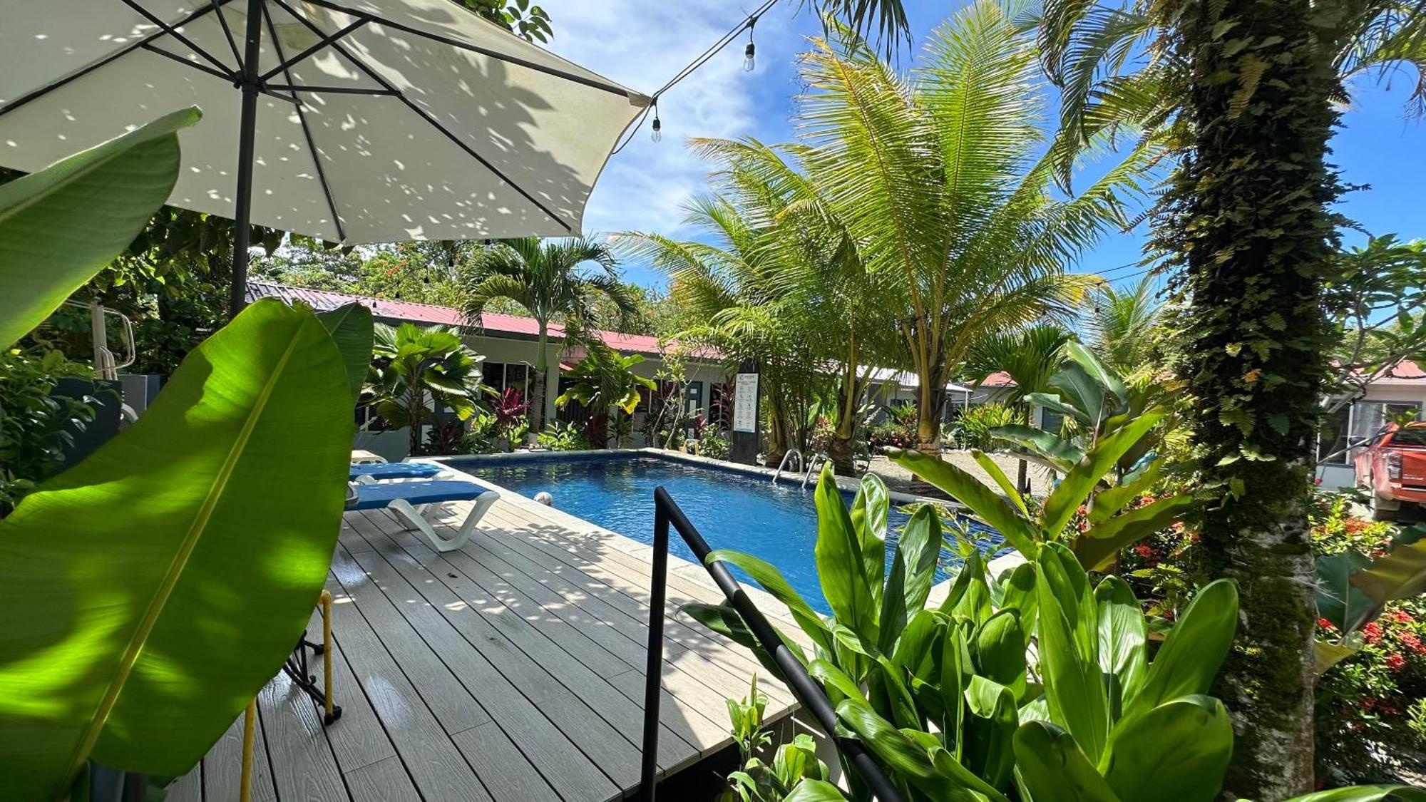 Rooms & Pool Macaws Uvita Εξωτερικό φωτογραφία